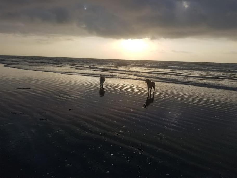 Paradise Lagoon*Bayhouse Fishing*Beach*Dogfriendly Galveston Extérieur photo
