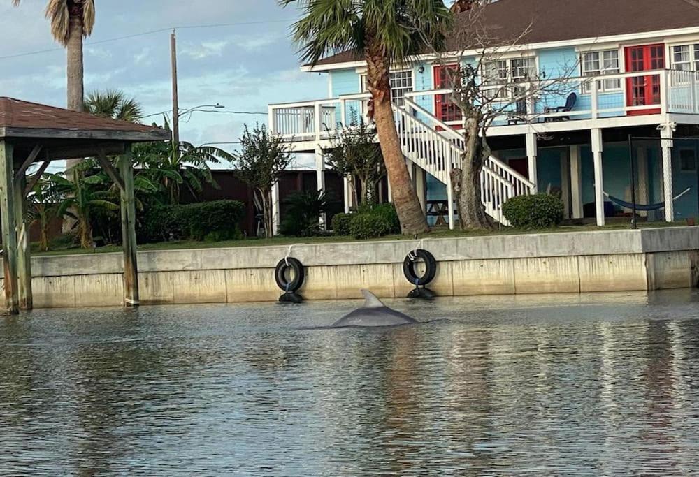 Paradise Lagoon*Bayhouse Fishing*Beach*Dogfriendly Galveston Extérieur photo